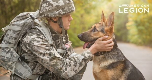 It's National Pets for Veterans Day - a day set aside to recognize the value…